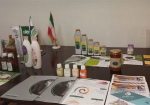 تحقیقات علمی باید به زبان مردم ترجمه شود