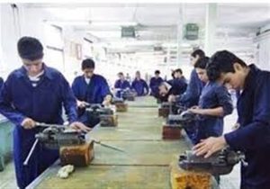 سازمان فنی‌وحرفه‌ای از تصدی‌گری به تنظیم‌گری می‌رسد