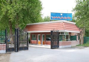 ۶۵ شرکت دانش‌بنیان در قلب آموزش کشاورزی کشور فعال شدند