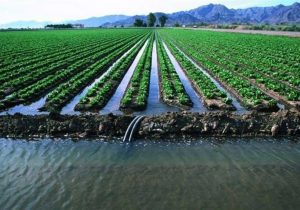 بحران فزاینده آب در البرز/زنگ خطر ناکارآمدی آبیاری سنتی