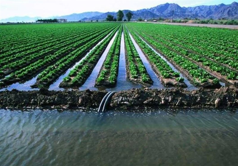 بحران فزاینده آب در البرز/زنگ خطر ناکارآمدی آبیاری سنتی