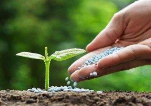 توزیع ۱۶۱۵ تن کود کشاورزی در استان البرز