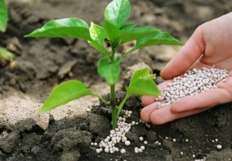 توزیع ۱۸۸۵ تن انواع کود کشاورزی در البرز طی ۴ ماه