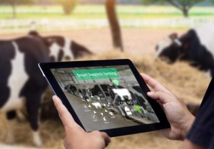 آغاز پروژه‌های دامپروری هوشمند با فناوری اینترنت اشیاء