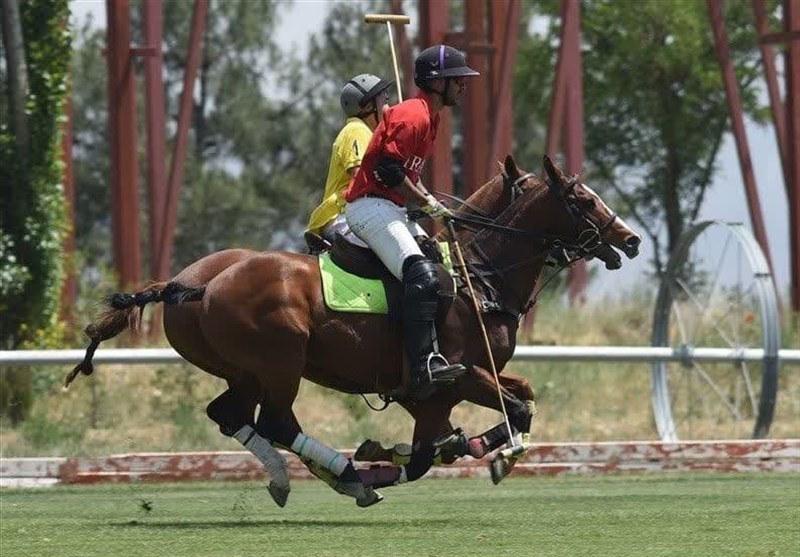 میراث ملی ایران جان تازه می‌گیرد/ علاقه‌مندان رشته چوگان بخوانند