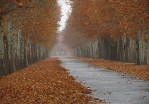 گردشگری پاییزی در فردیس/ مقصدی شگفت‌انگیز برای طبیعت‌گردان و فرهنگ‌دوستان + عکس