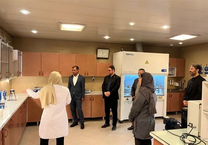 تولید چسب کاشی فاقد استاندارد، زیر ذره‌بین