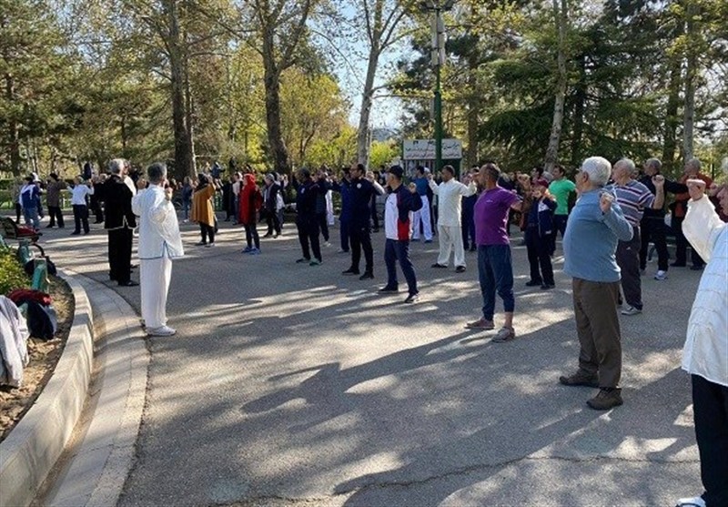 طرح سفیران سلامت ووشو در پارک‌ها اجرا می‌شود