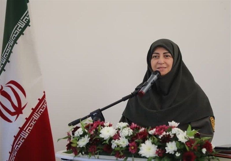 انصاری:  ۳۳ ‌وظیفه سازمان محیط زیست به مدیران استانی تفویض اختیار شد‌