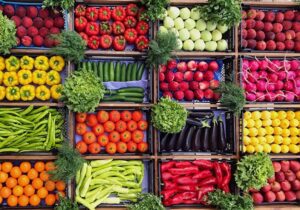 رئیس سازمان تات: مجاز به تولید محصولات کشاورزی ‌به هر قیمتی ‌نیستیم